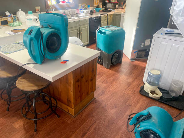Best Sewage cleanup and water damage restoration  in Robertsde, AL