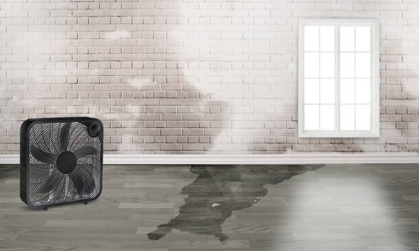 Best 24-hour water damage restoration  in Robertsde, AL