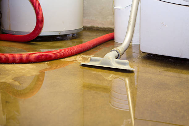 Best Water damage restoration near me  in Robertsde, AL