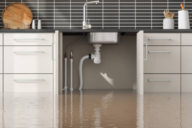 Best Flood damage cleanup  in Robertsde, AL