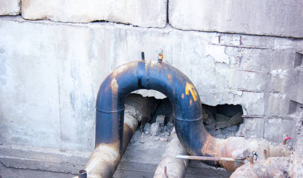 Best Flood restoration services  in Robertsde, AL
