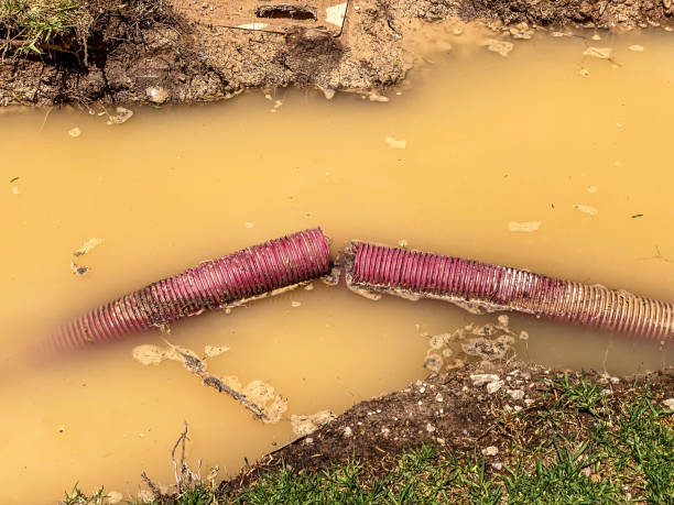 Best Emergency water extraction  in Robertsde, AL